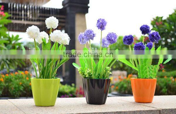 Wholesale plastic flower pots /garden creative pot / plastic flower pot decoration