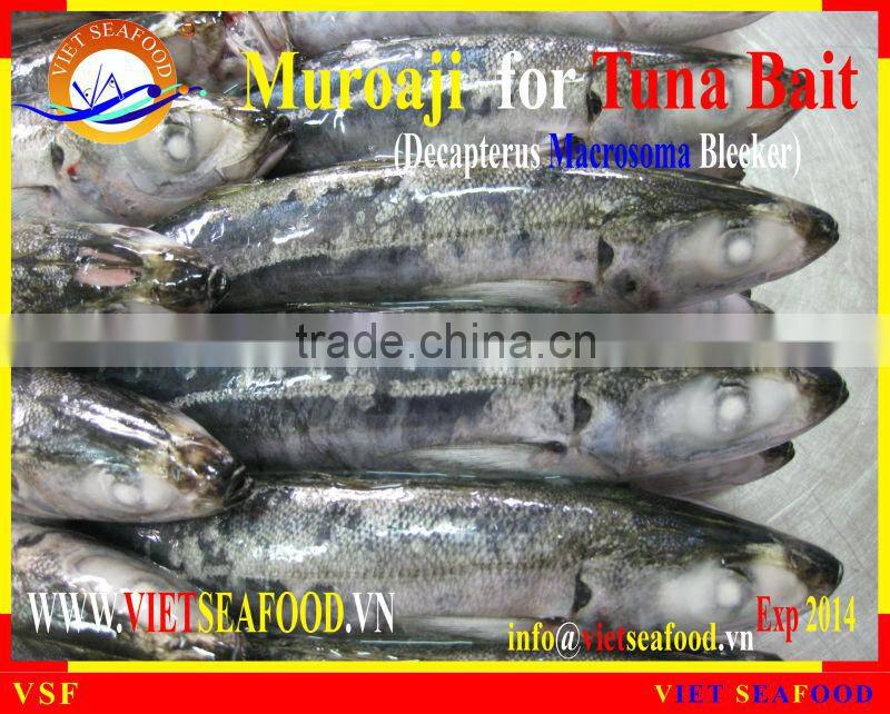 MUROAJI FOR TUNA BAIT