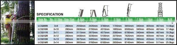 Combination ladder,ladder