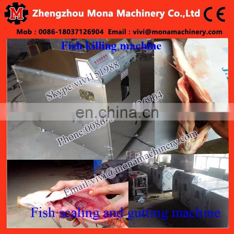 automatic small fish cleaning machine|anchovy fish killer machine|Tilapia gutting machine