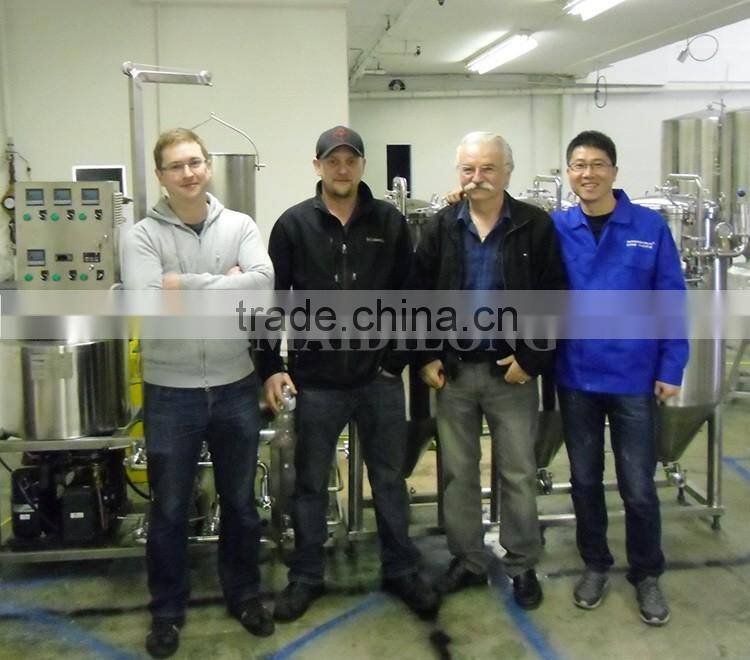 Hot sale small mini brewing equipment home for party