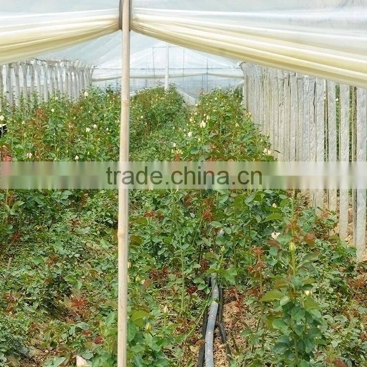 Durable best sell fresh pink color cattleya orchid