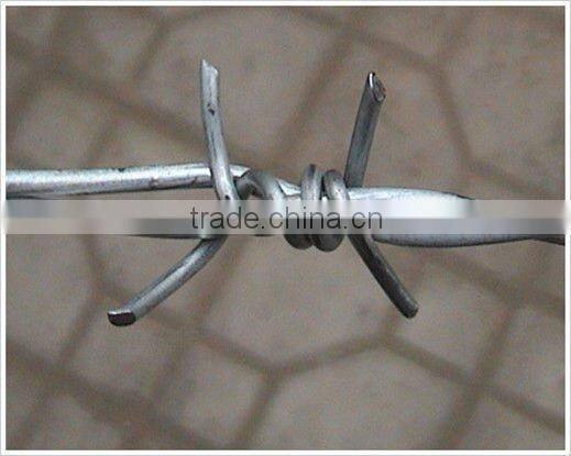 concertina razor barbed wire