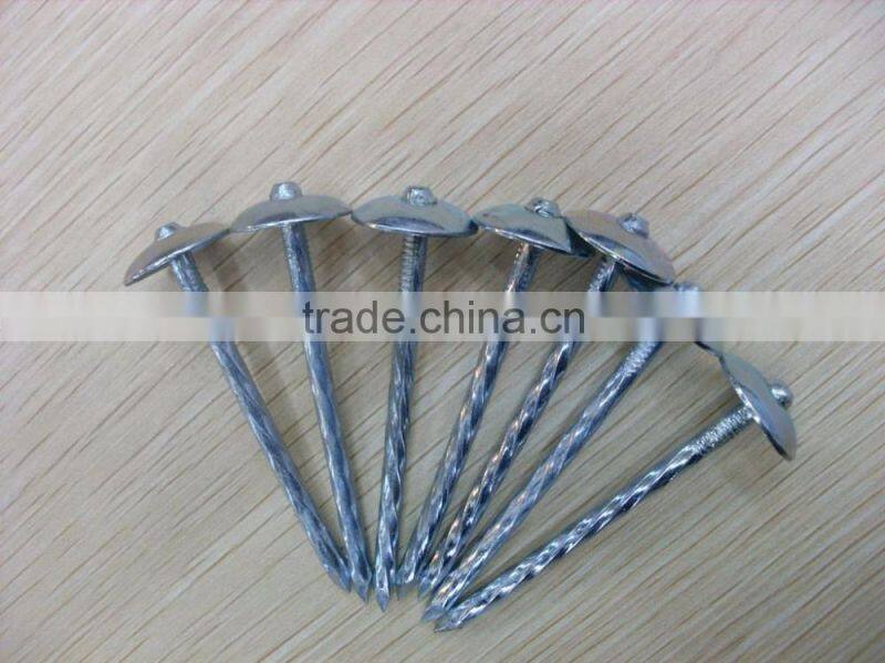 china umbrella head roofing nailsdirect from factory
