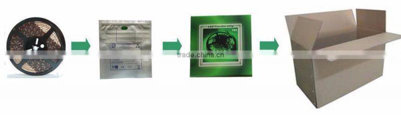 Multi Color 12V 24V IP65 5050 SMD Waterproof LED Strip RGB