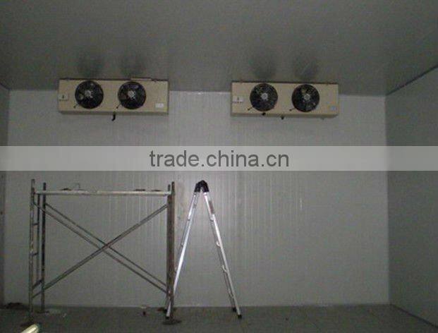 commercial ice cream storage cold room sell well