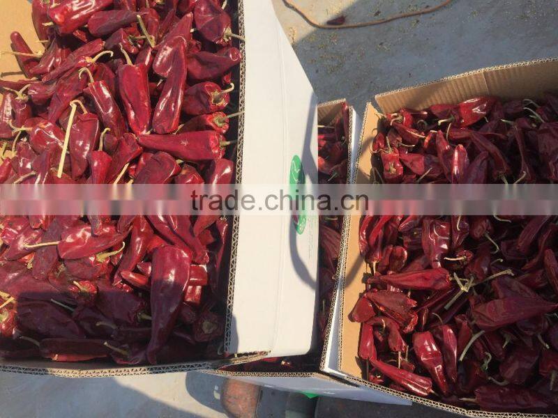 yidu chilli
