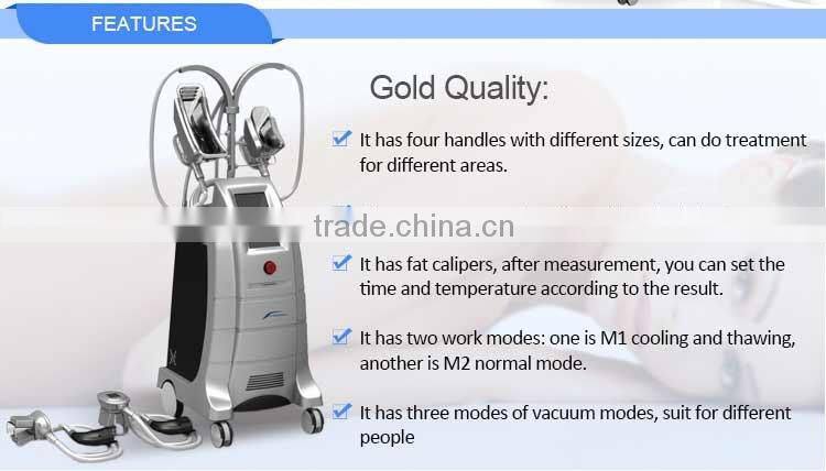 cryolipolysie / price cryolipolysis / cryolipolysis machine 2016