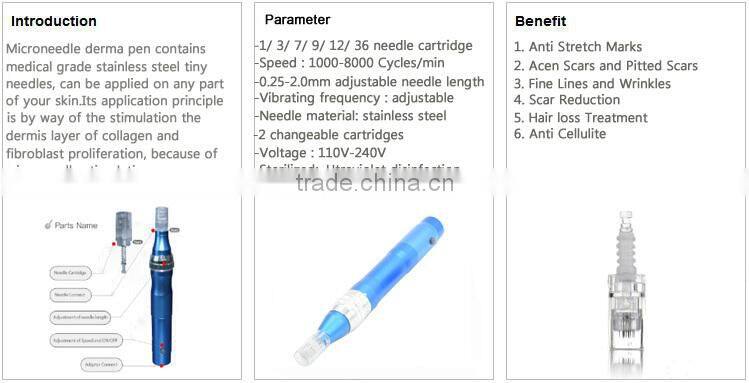 2016 Flagship!Hot saler derma stamp 12 needles electric pen