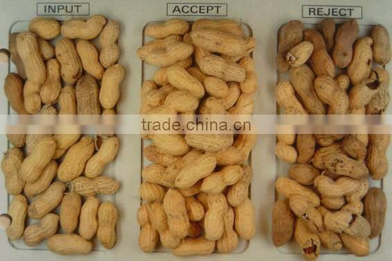 VSEE pine nut color sorter