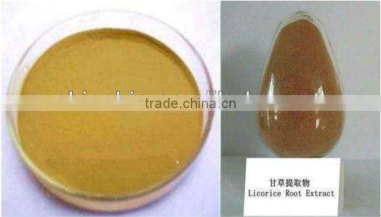 GMP Manufacturer Licorice Extract powder Isol. from Gly-cyrrhiza uralensis Fisch.