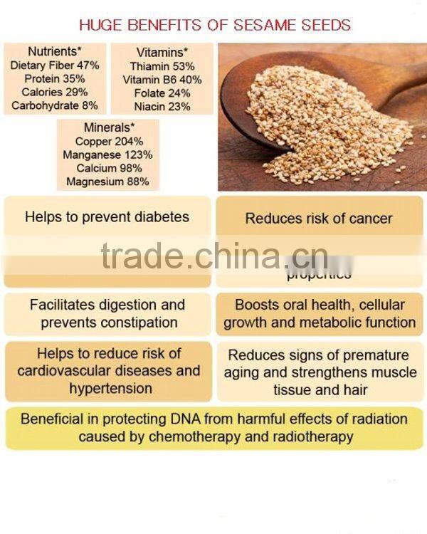 Wholesale Japanese Premium Quality Wasabi Sesame at reasonable price