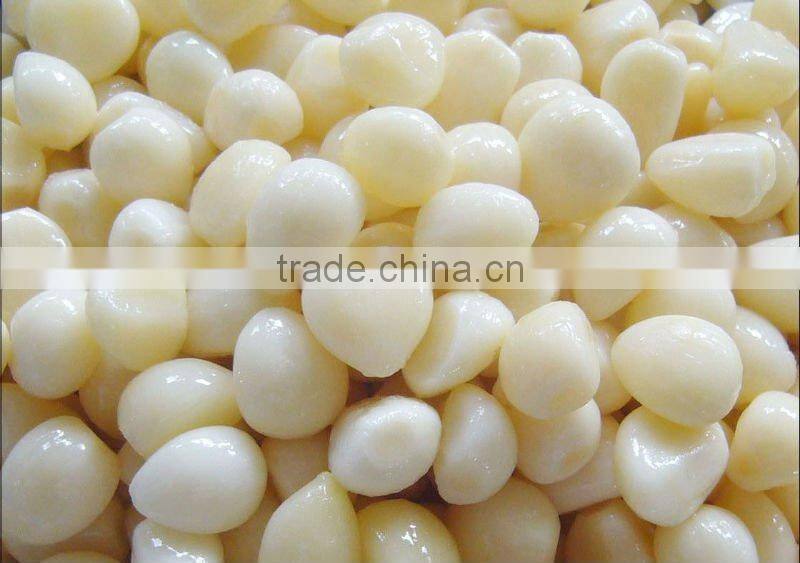 white garlic in brine