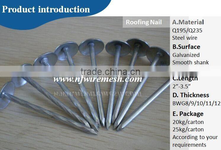 Pakistan high quality polished iron common wire nails for building(Guangzhou Factory)