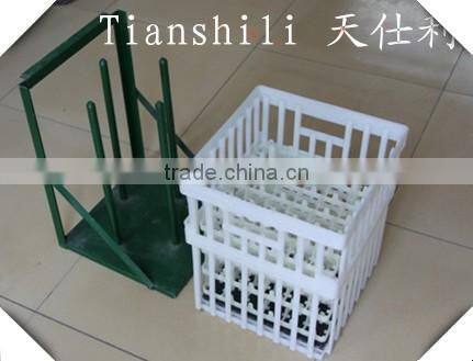 Colorful plastic egg tray for egg storage