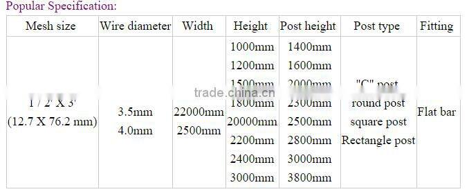 V Beam & Flat Beam Prison Mesh Panel Fence 358 Anti climb Fencing