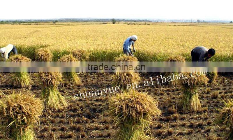 Small investment huge profit-SMALL Rice Miller/Rice Husker