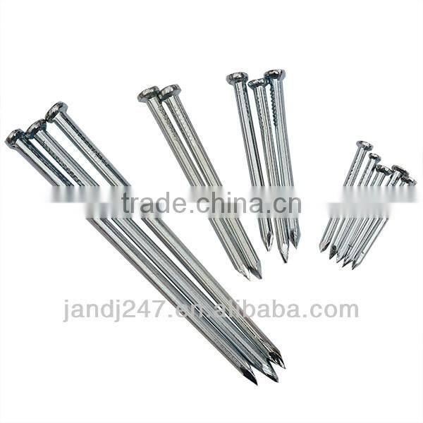 Galvanized Concrete Nails with Factory Price