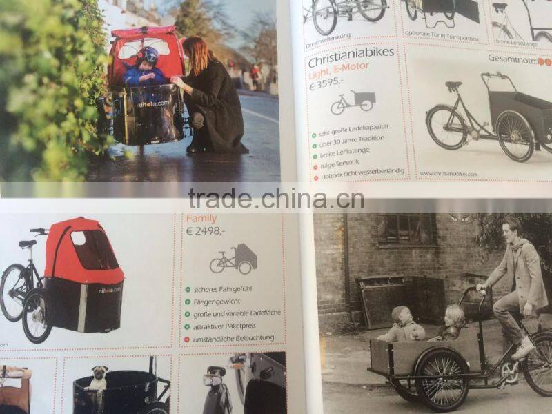 Electric tricycle bikes