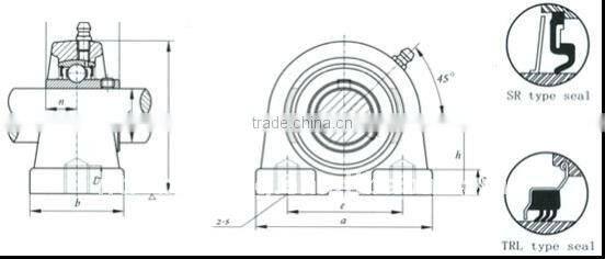 Pillow block bearing UCPA204
