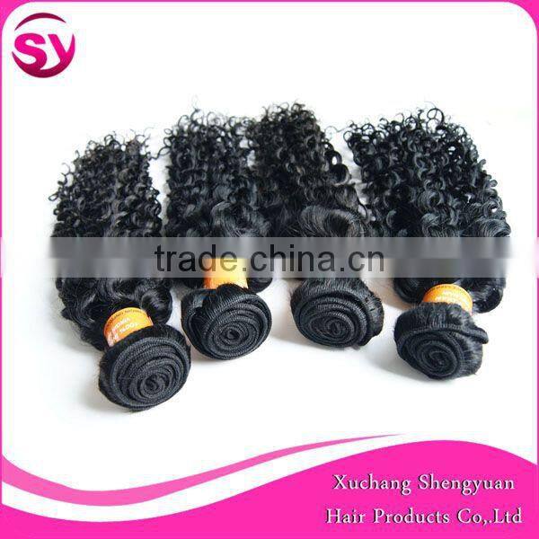 100% Natural Indian Real Hair, Afro Kinky Curly 100% Indian Human Hair Extensions