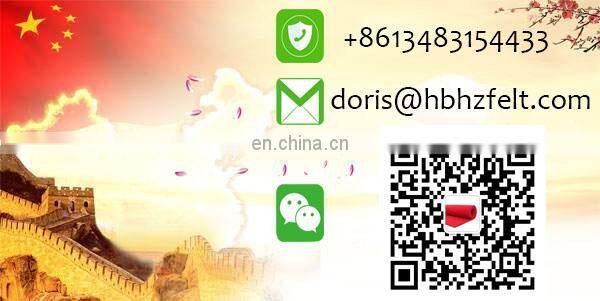 Small Szie Felt Insert Purse Organizer Handbag in Large Bags