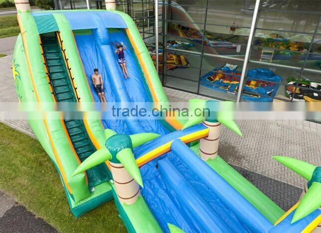 giant inflatable water slide for sale