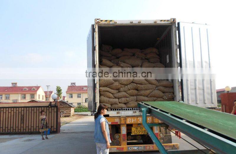 Competitive Sweet Paprika Seeds