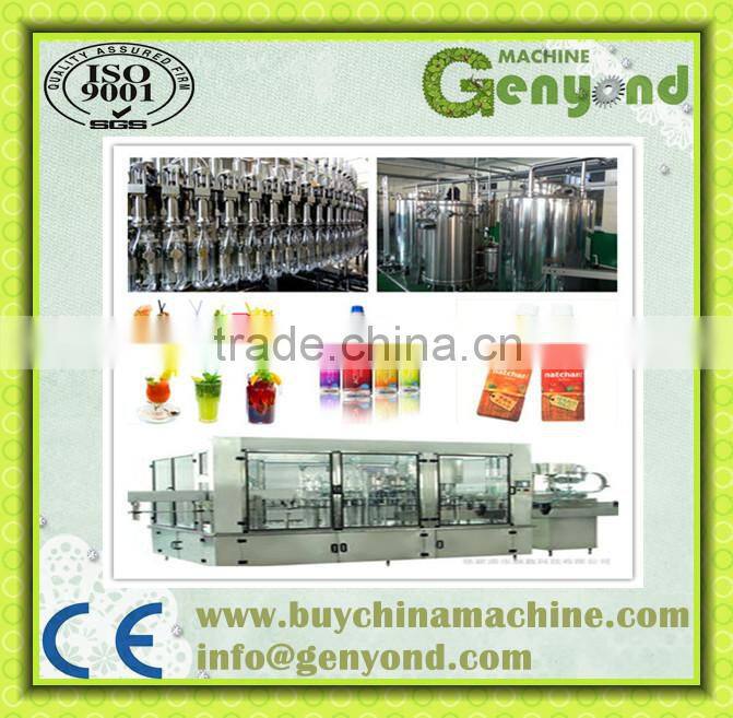 Bottled Fruit Juice Production Line/Equipment with factory price