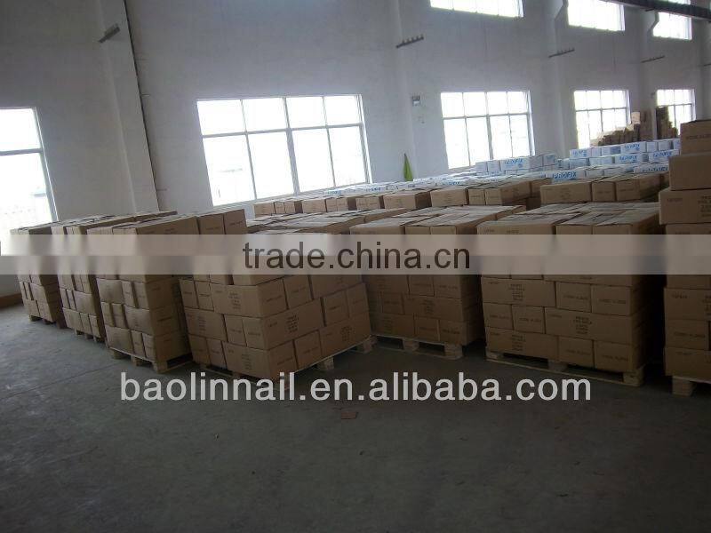 HDG Wire Collated Nails