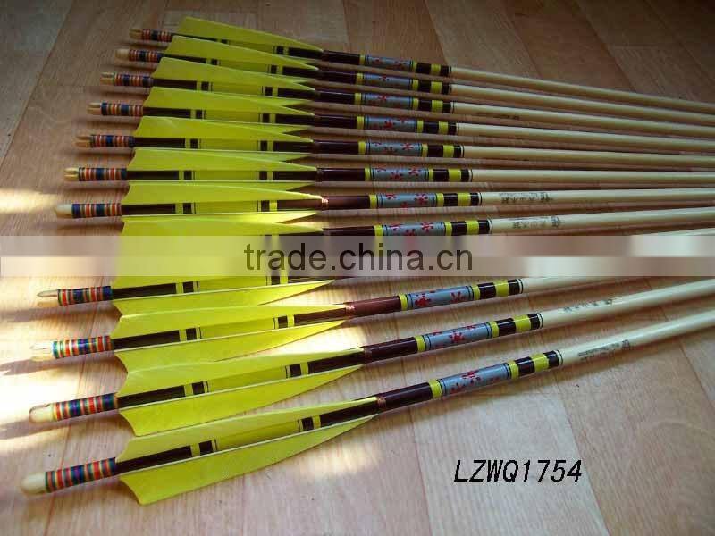 Feather Arrows LZWQ1764