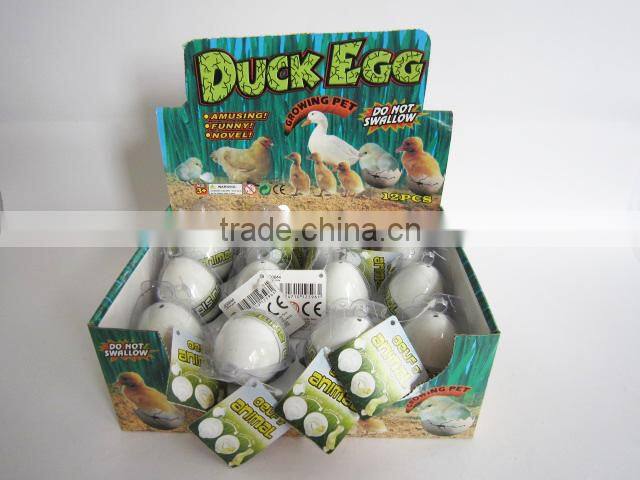 Growing duck eggs hatching surprise duck egg toys