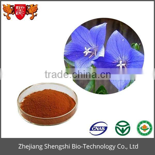 Hot sale fresh cut flowers Balloon flower extract powder with high quality