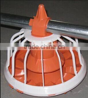 poultry farm ground raising chicken broiler equipment