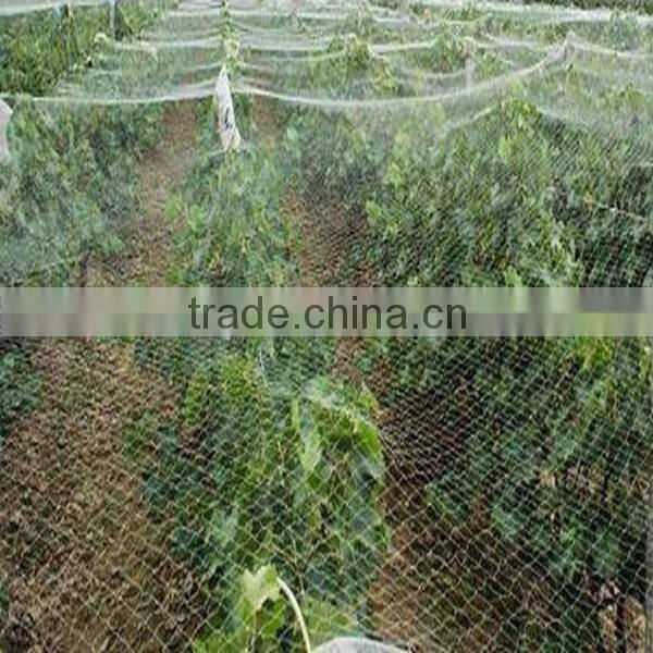 Plastic Anti-Bird Mesh/ Pond Covering Mesh/Anti-Bird Mesh