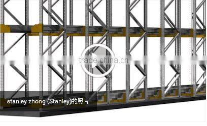 Radio Shuttle Racking System,Storage Radio Shuttle Racking,Storage Shelf