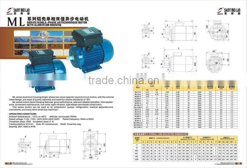AC electric motor 1kw 127V 220v 50Hz 60Hz Manufacturer