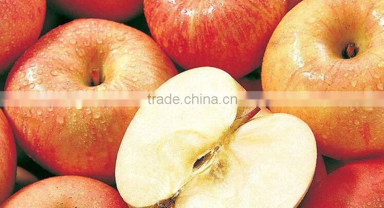 fuji apple of apple varieties