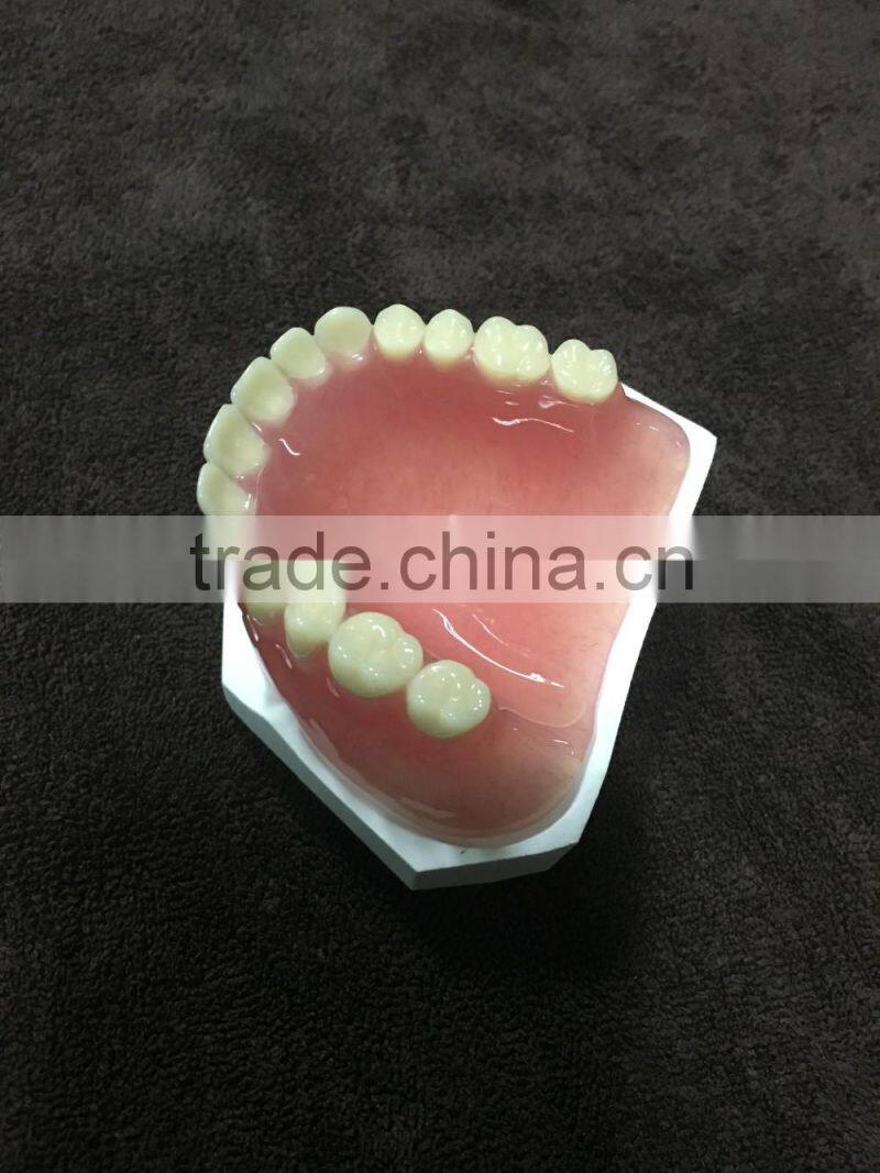 Integrated Denture Model Teaching Demonstration