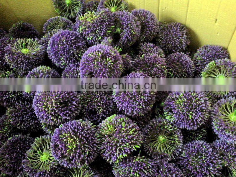 handmade allium flower