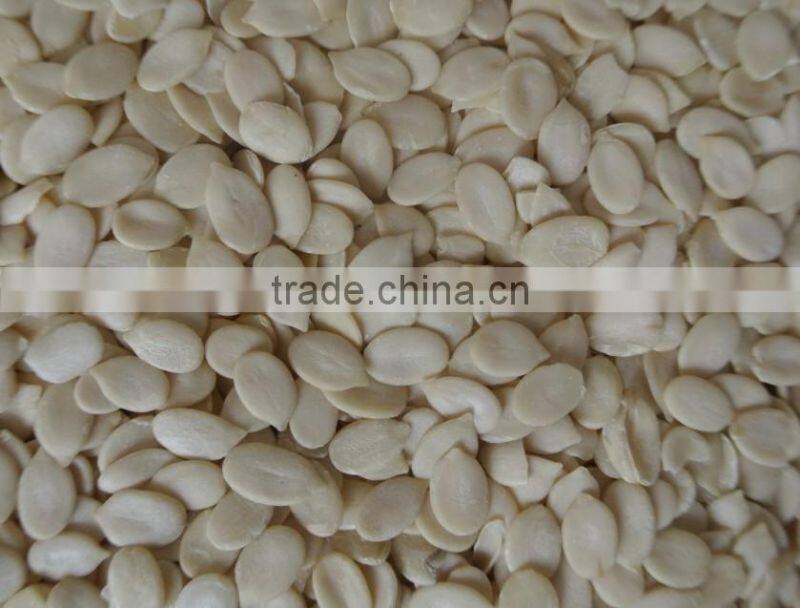 Good quality Watermelon Kernels for market of Europe &America