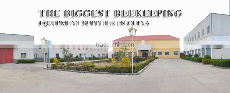 Hot sale tea bee pollen from multi-sweet