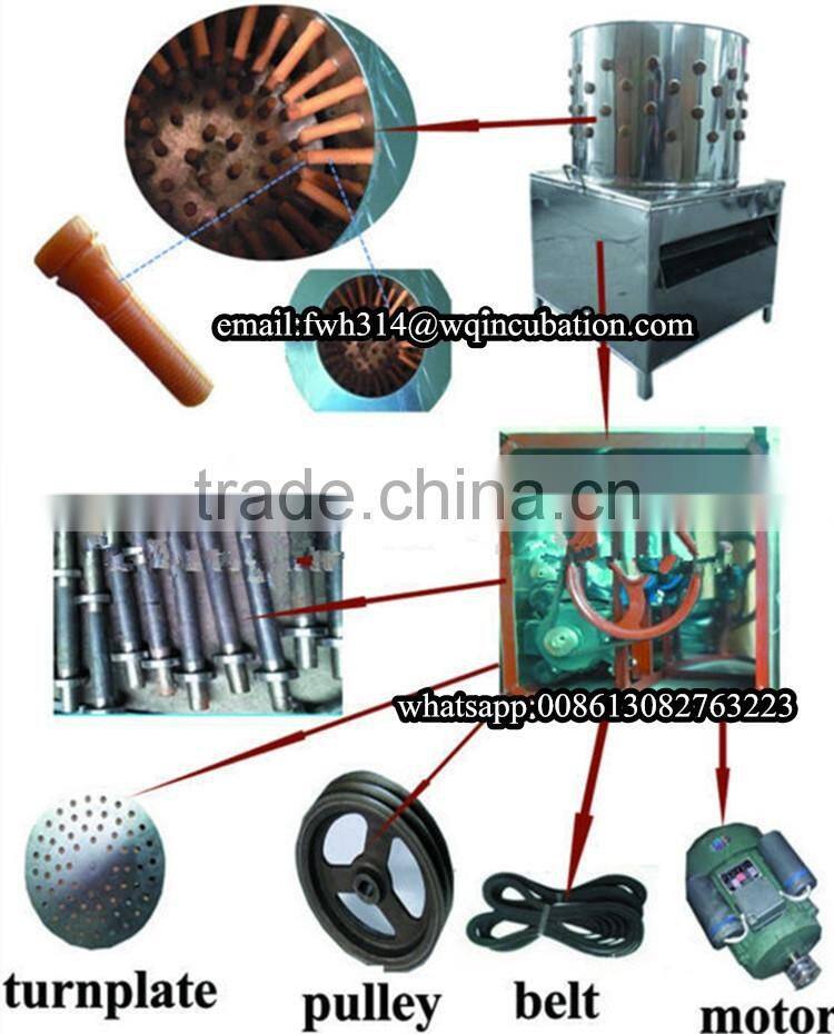 Stainless steel automatic chicken plucker for salemini bird plucker made in China
