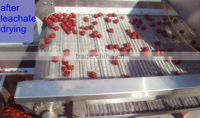 jujube production line/date processing line for high capacity