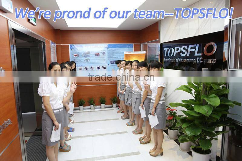 12V 24V DC Micro Diaphragm inks and printing transfer pump