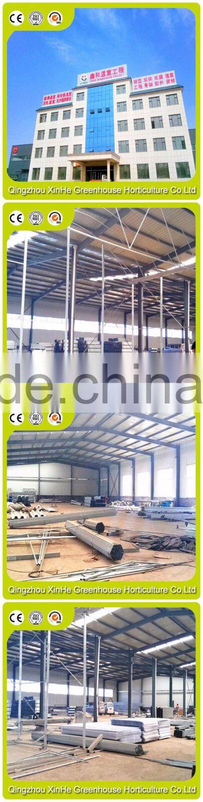 High Quality Tunnel Greenhouse