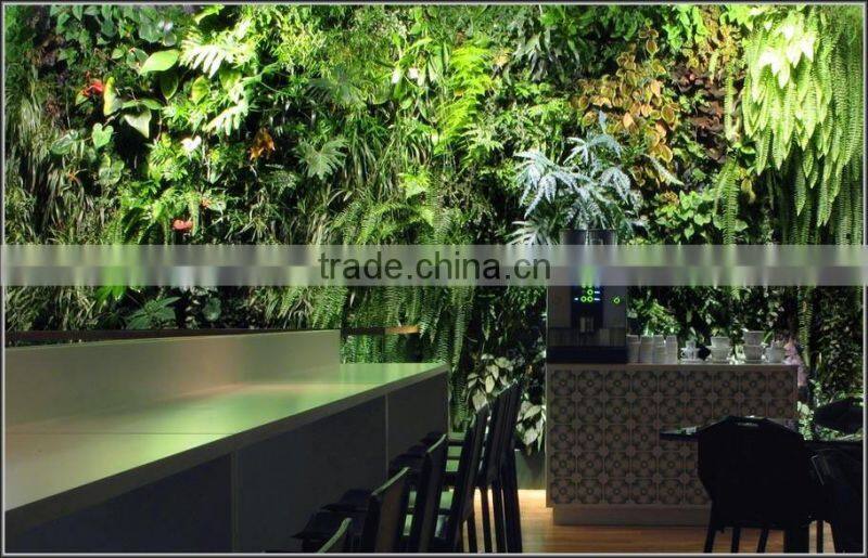 Artificial green wall plant wall
