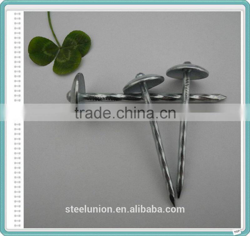 China Supplier Roofing Nail/Galvanized Roofing Nail/Umbrella Head Coil Roofing Nail