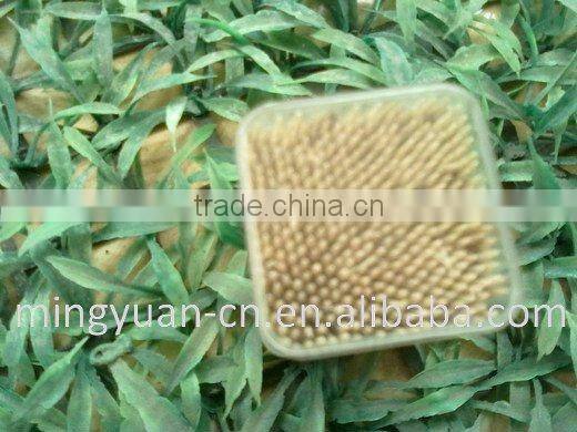 Bamboo Fruit Toothpicks