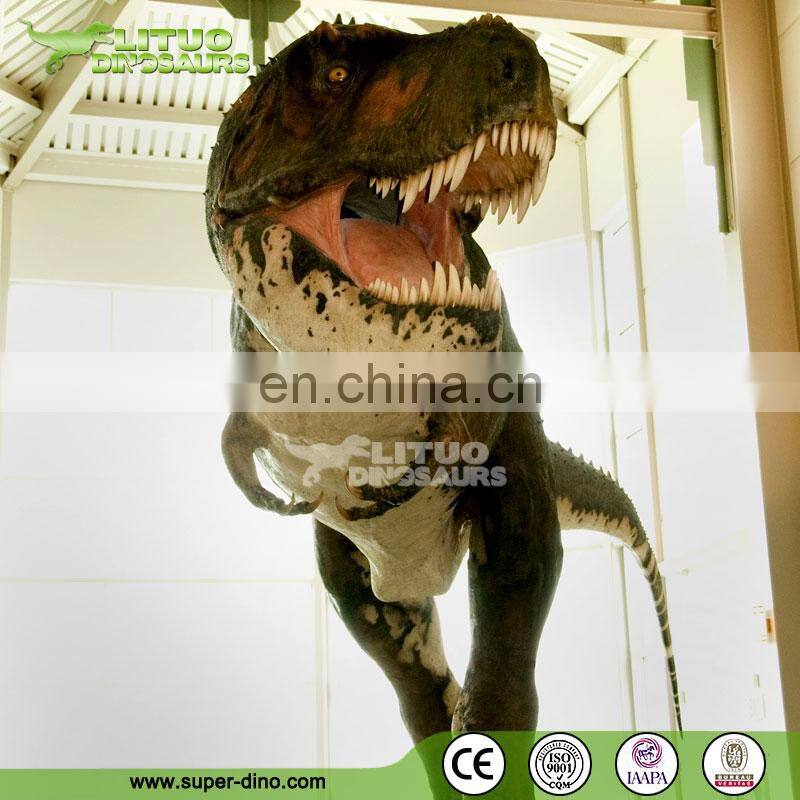 Science Museum Lifelike Handmade Educational Dinosaur Model